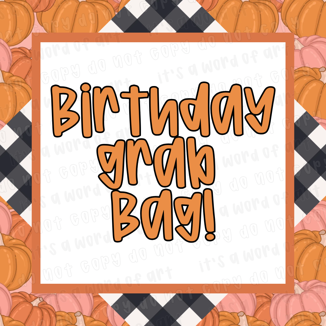 Mystery Grab Bag – 10 Winter & Christmas Shirt Bundle | Limited Birthday Sale