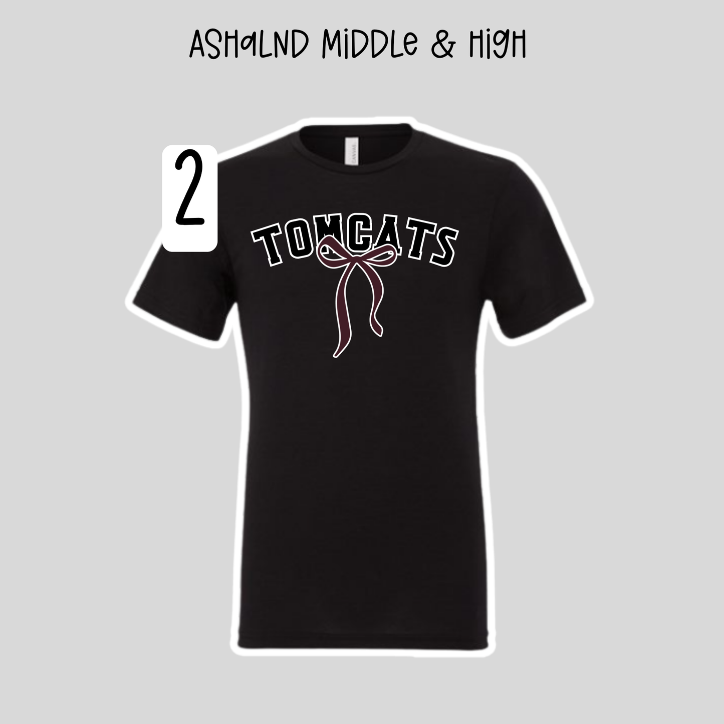 Ashland Middle & High School- School Spirit Shirts