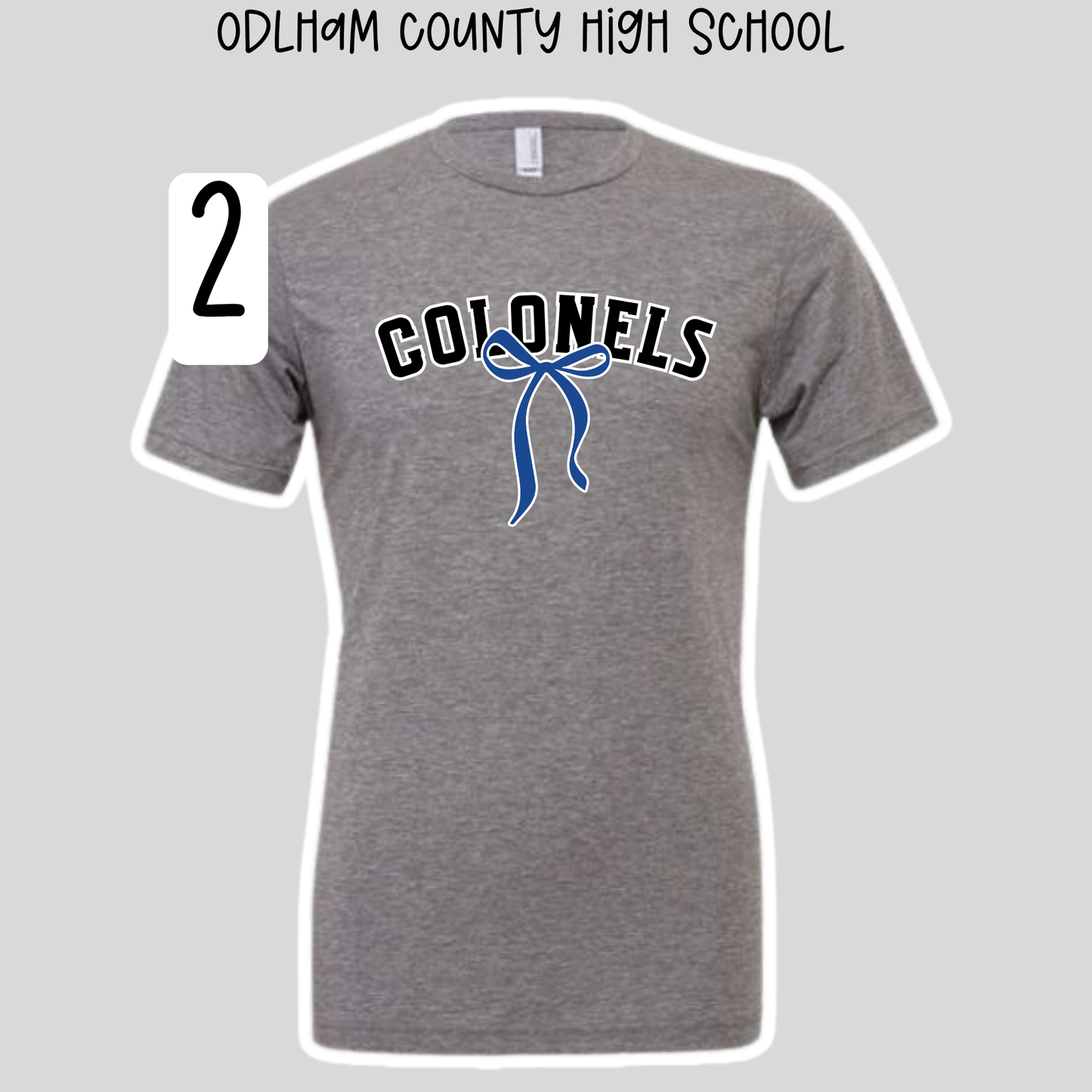 Oldham Middle & High School- School Spirit Shirts
