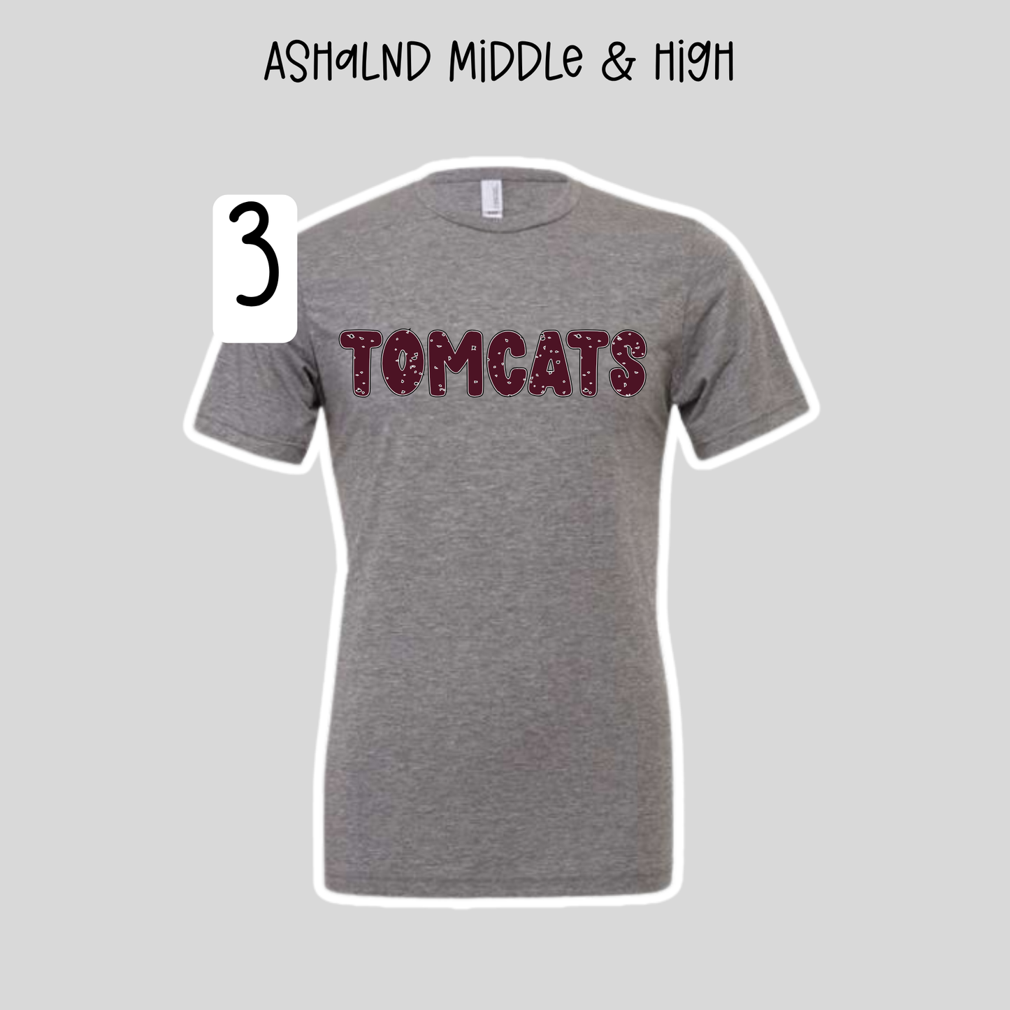 Ashland Middle & High School- School Spirit Shirts