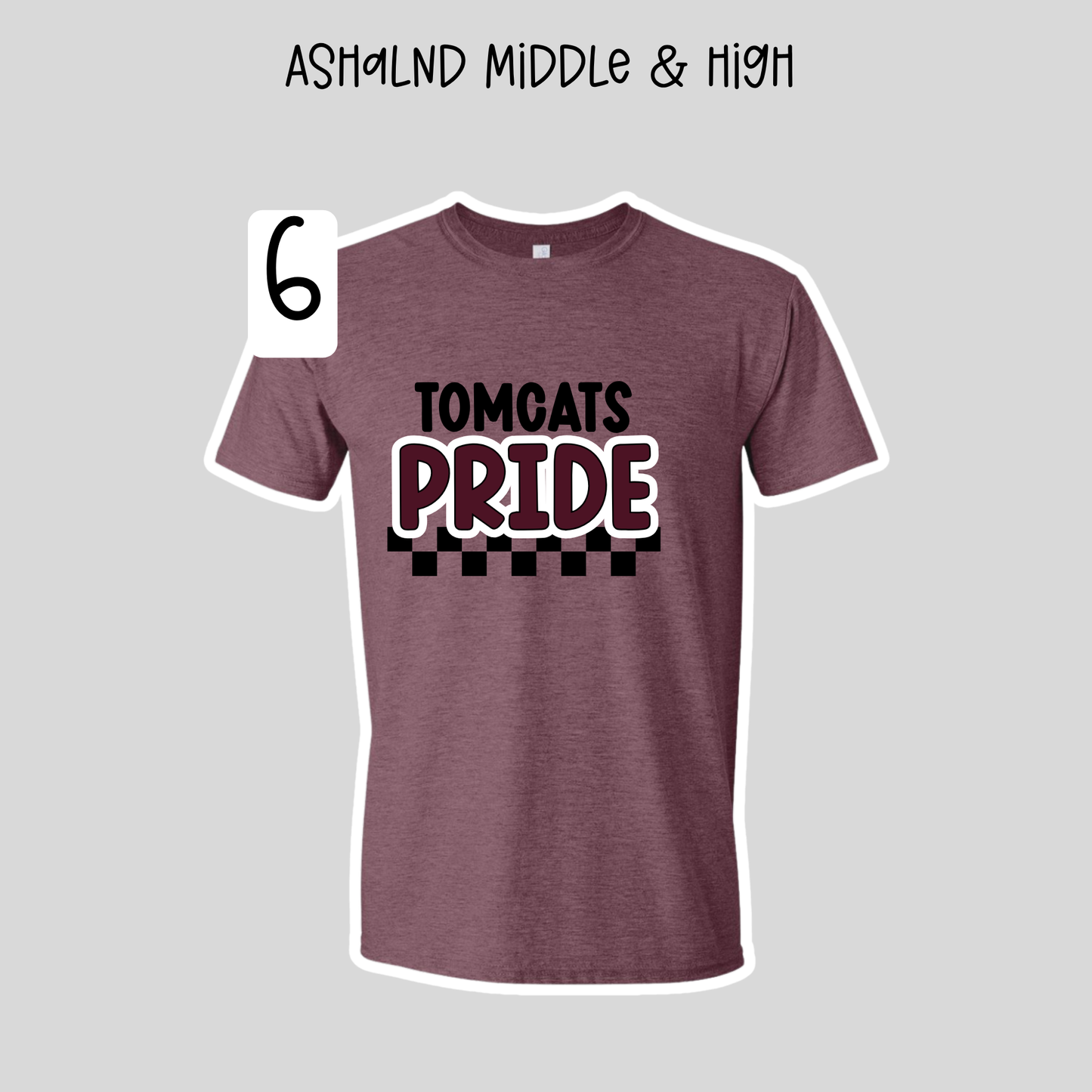 Ashland Middle & High School- School Spirit Shirts