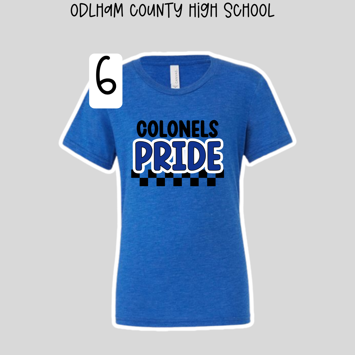 Oldham Middle & High School- School Spirit Shirts