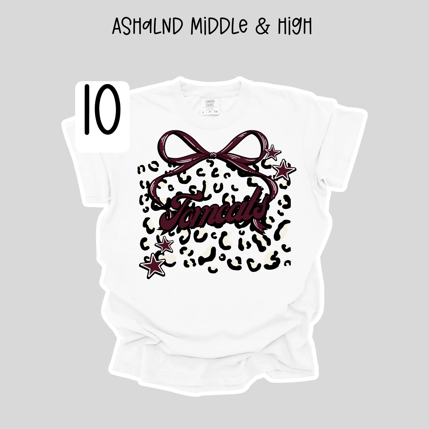 Ashland Middle & High School- School Spirit Shirts
