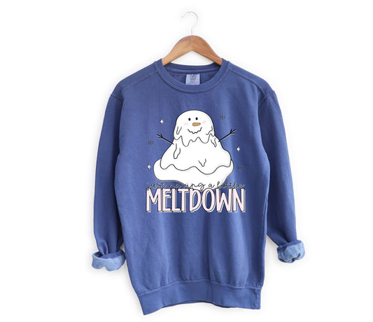 Just Having A Little Meltdown Adult Sweatshirt- Winter 31